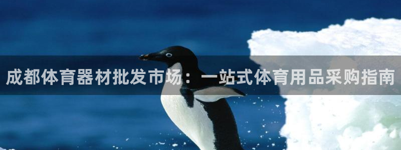 富联平台李 411O31 富联:成都体育器材批发市场:一站式