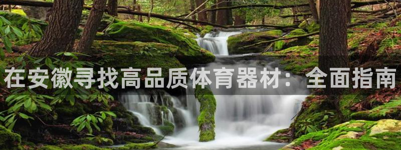 富联机械:在安徽寻找高品质体育器材:全面指南