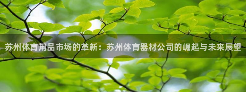 富联娱乐登录注册入口官网网址是多少:苏州体育用品市场的革新: